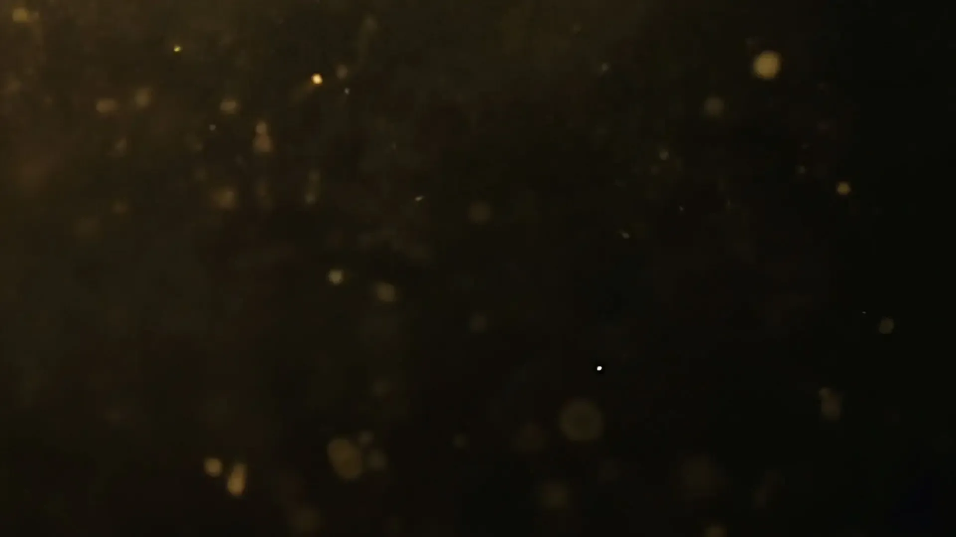 Dark Golden Bokeh Particle Overlay for Luxury Event Promos